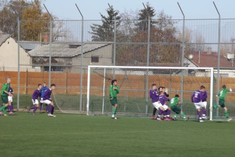 2012.11.11._030.jpg