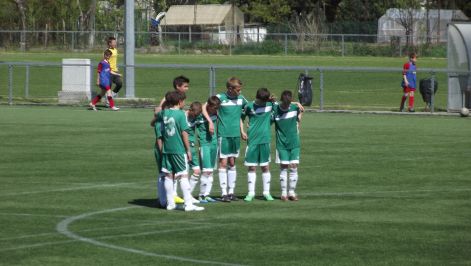 foci_2012_001.jpg